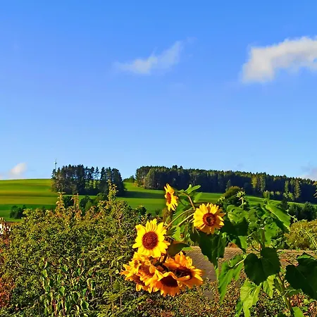 Amy's Apartment, Relax And Enjoy *